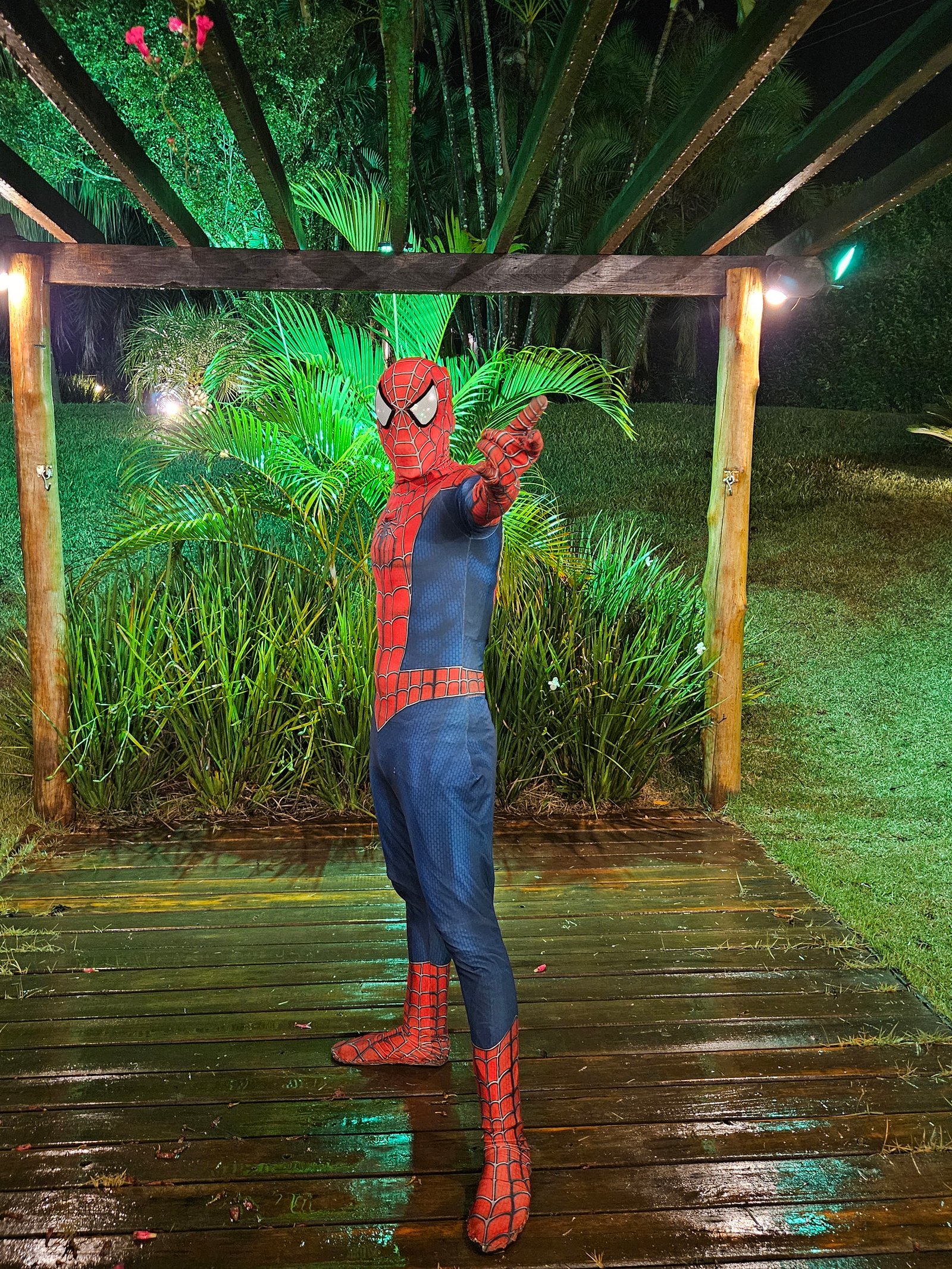Homem-Aranha